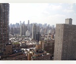 One BD Luxury Apartment for rent